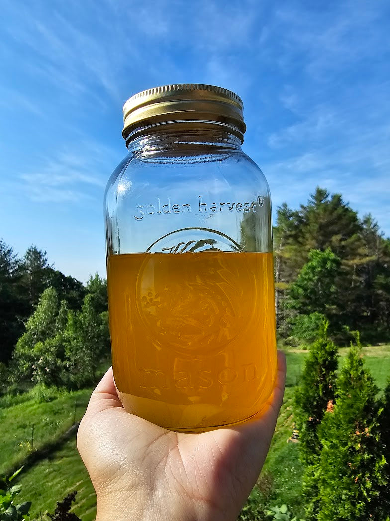 *Seasonal* Dandelion Infused Tallow Salve